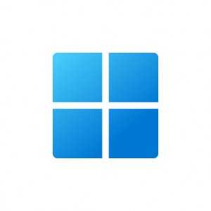 Prise en main Windows