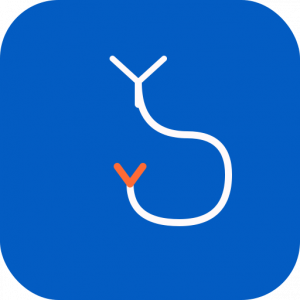 Arnaques en ligne, phishing & fake news : déjouer les pièges